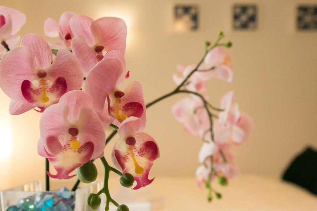 Espacioso Apartamento Jinetes Màlaga Exteriér fotografie